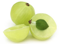 AMLA EXTRACT (Embilica officinalis)