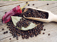 BLACK PEPPER EXTRACT (Piper nigrum)