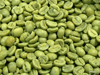 GREEN COFFEE BEAN EXTRACT (Coffee Arabica)