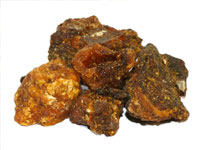 GUGGUL EXTRACT (Comiphora Mukul)
