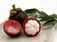 MANGOSTEEN EXTRACT (Garcinia mangostana)