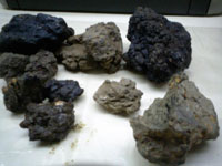 Shilajit Extract (Asphaltum)