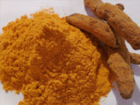 TURMERIC EXTRACT (Curcuma Longa)