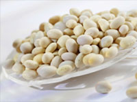 WHITE KIDNEY BEAN (Phaseolus vulgaris)