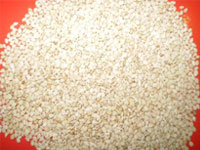 Sesamum Indicum Extract (Sesamin Complex)